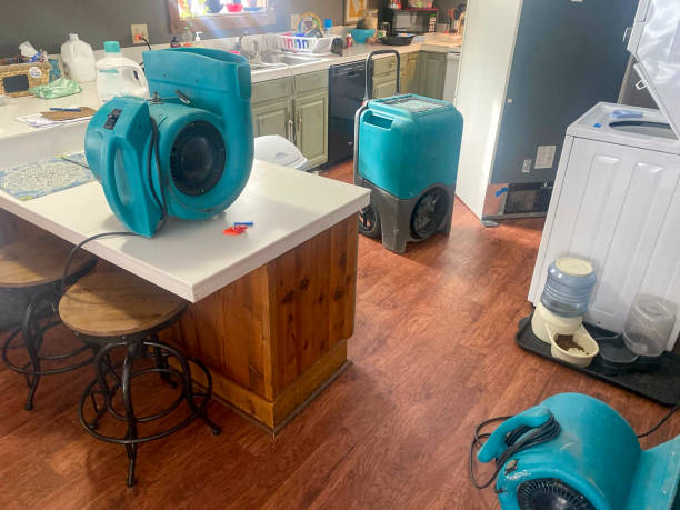 Best Water damage restoration near me  in Dothan, AL