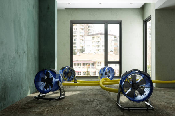 Best Ceiling water damage repair  in Dothan, AL