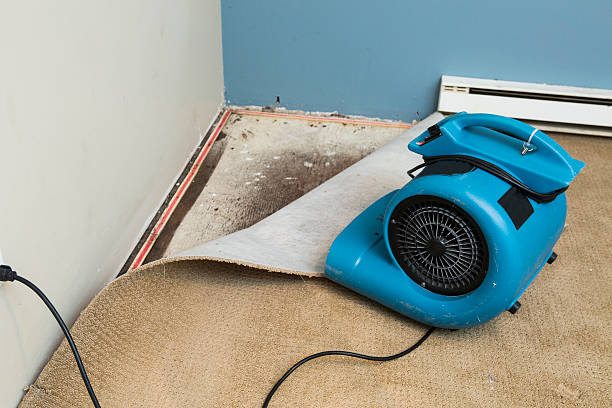Best Flooded house restoration  in Dothan, AL
