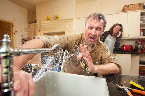 Best Water damage cleanup near me  in Dothan, AL